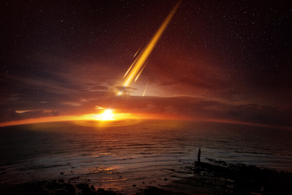 Earth Mass Extinction Event