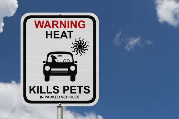 Hot car warning sign