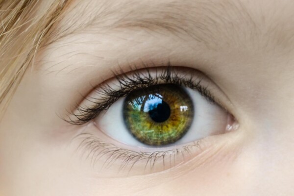 Closeup of child's eye