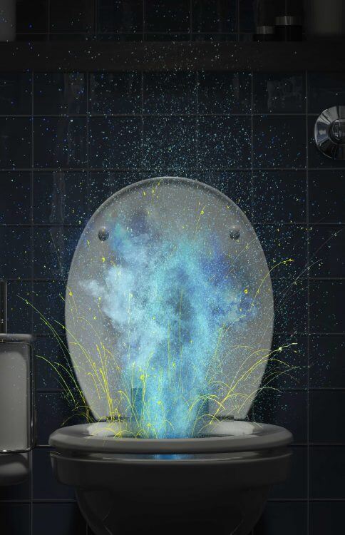 Toilet Flush Germs