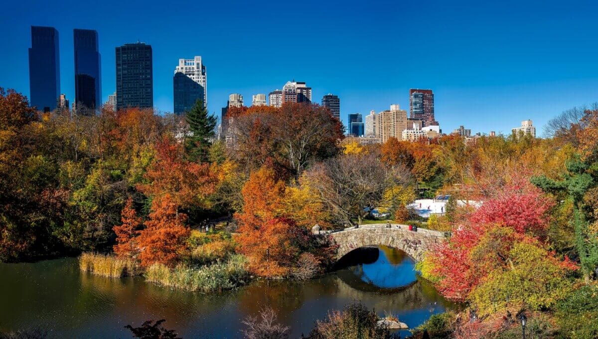 Central Park in New York City