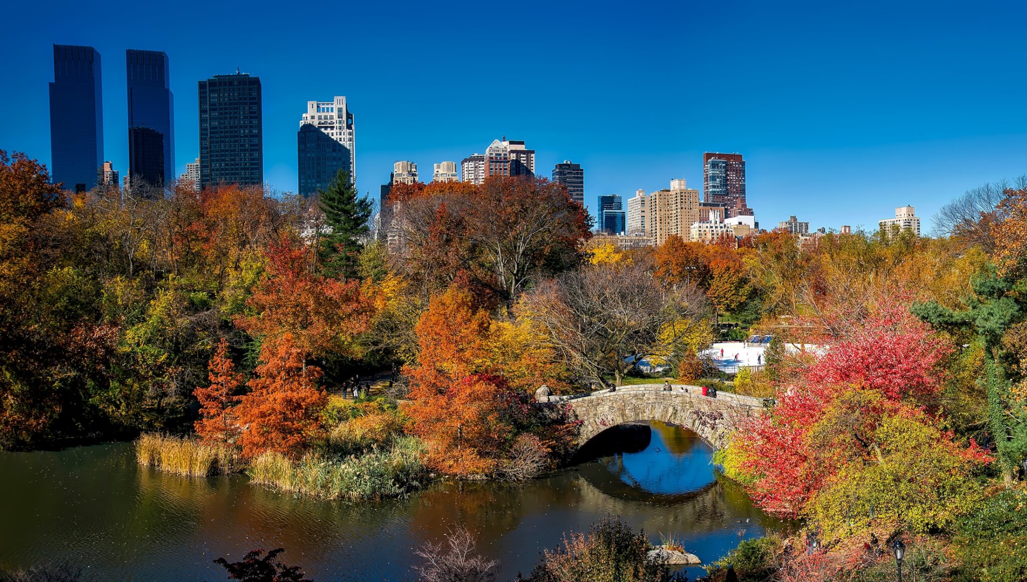 Central Park in New York City