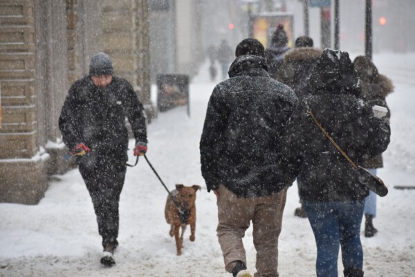 People walking in the snow in the city