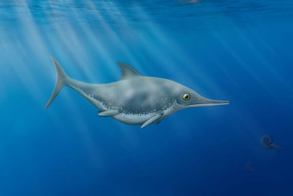 sea dragon UK fossil