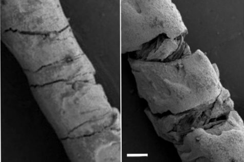 Threads coated with electrically conducting carbon-based ink