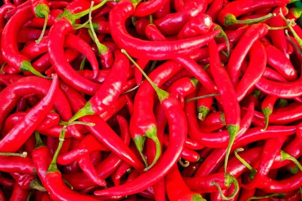 Red chili peppers