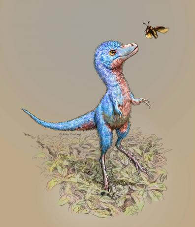 baby dinosaur