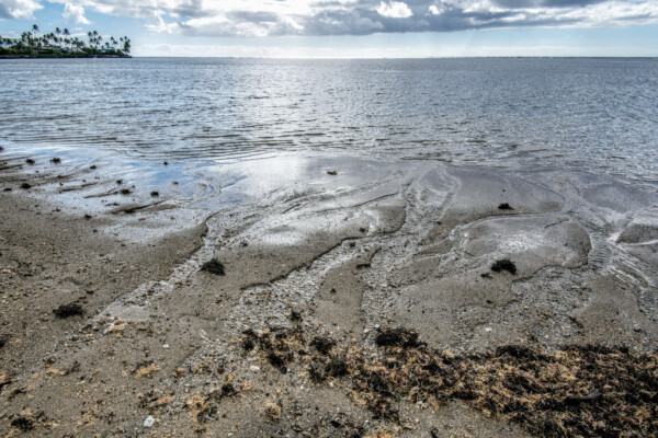 Coastal groundwater / ocean discharge study