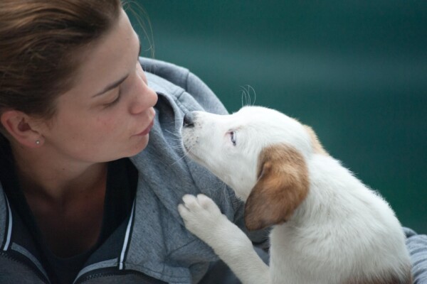 woman dog