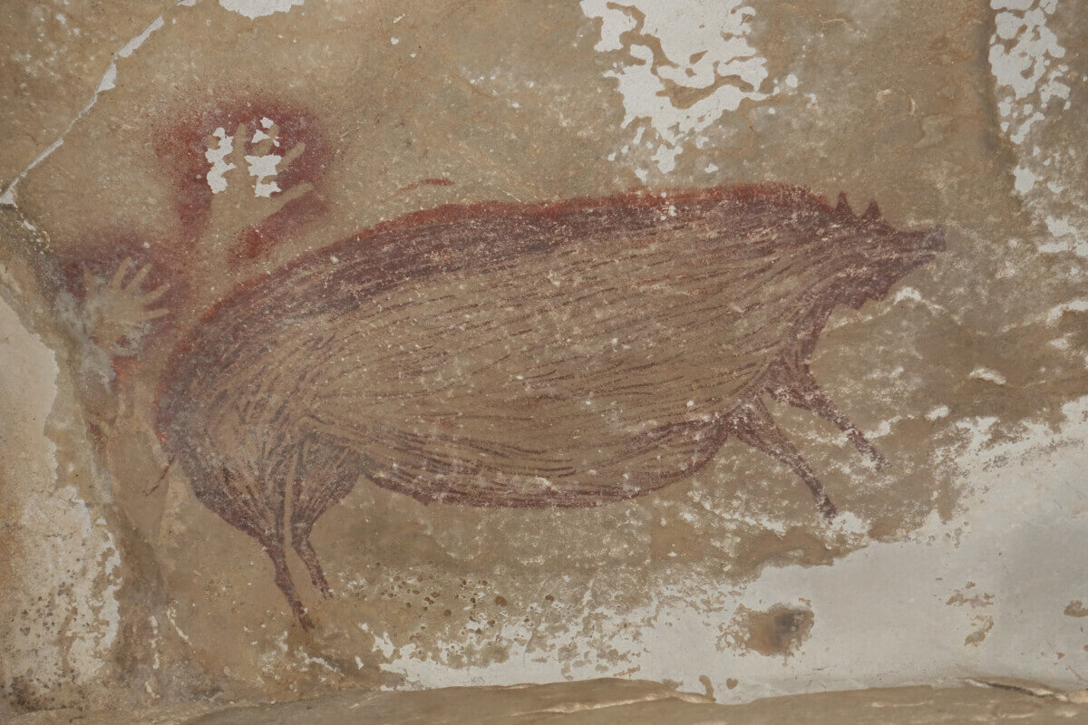 pig-asso-a-cave-620908
