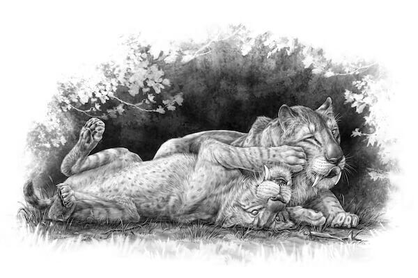sabretooth tiger