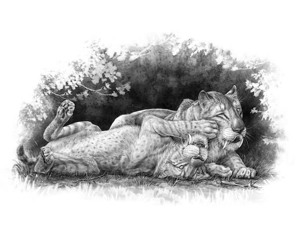 sabretooth tiger
