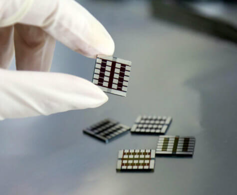 Solar cells containing capsaicin