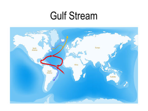 Gulf Stream