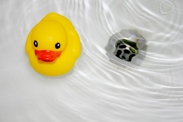Rubber duck in bathtub