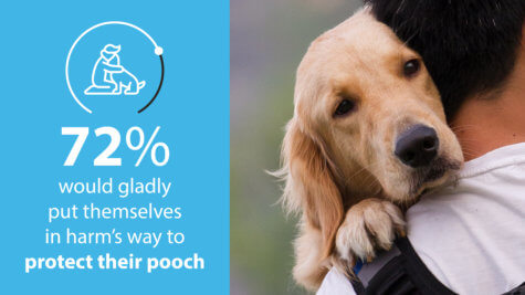 Pet Owner Love