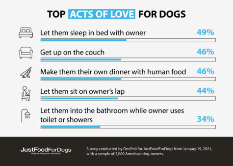 Pet Owner Love