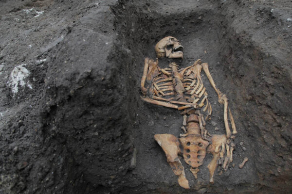 Skeletal remains of friar unearthed