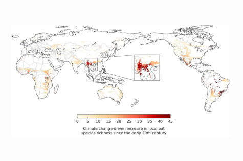 Climate change behind COVID spread?