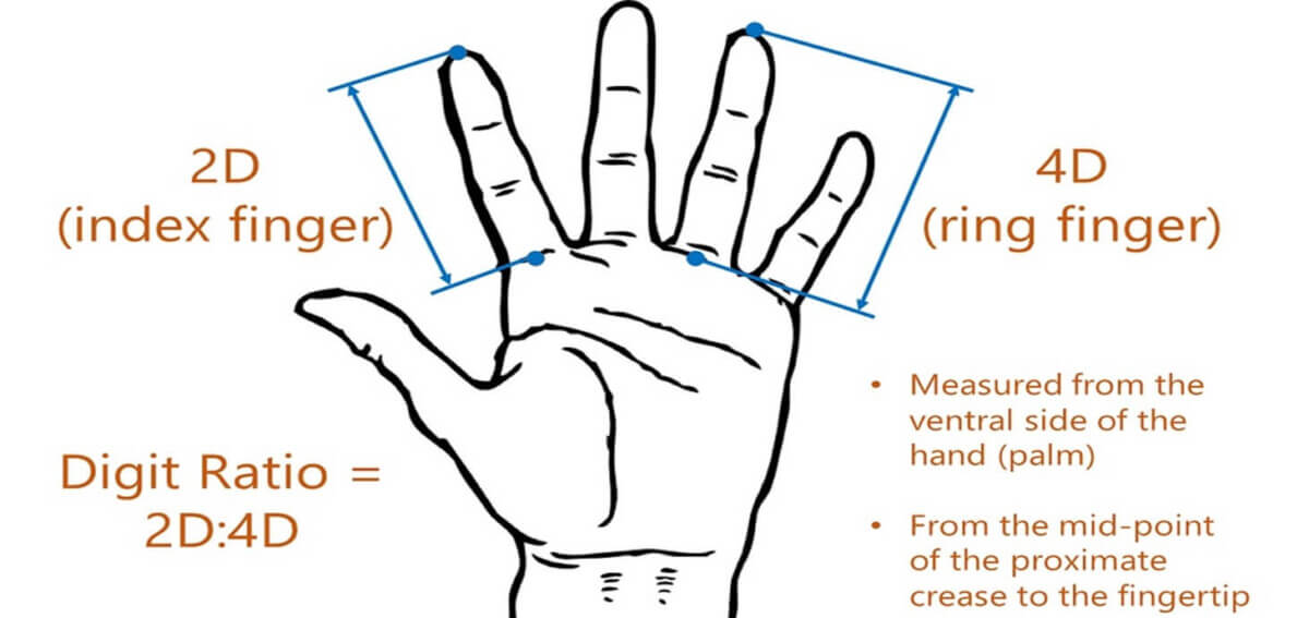 fingers hand diagram