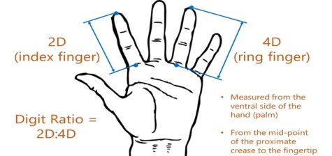 fingers hand diagram