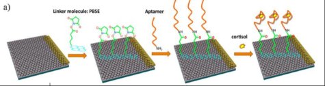 graphene wearable