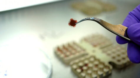 Food grown on Mars