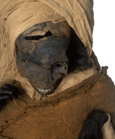 mummy pharaoh seqenenre taa ii
