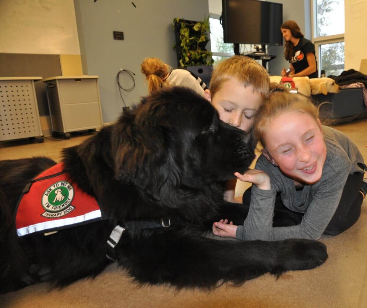 therapy dog children