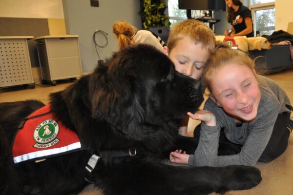 therapy dog children