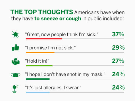 Allergy Season