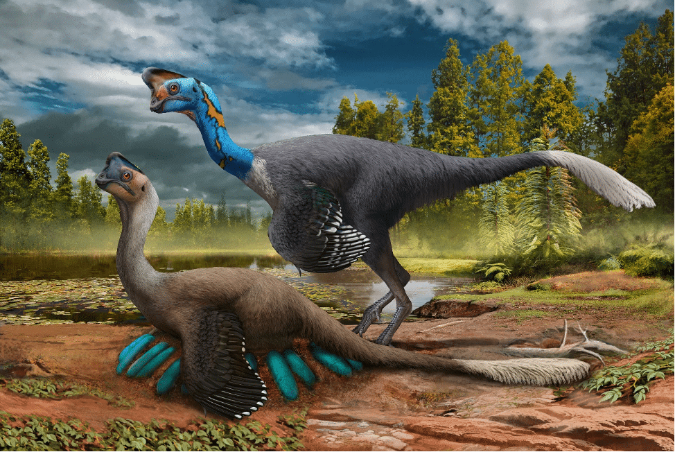 Dinosaur picture