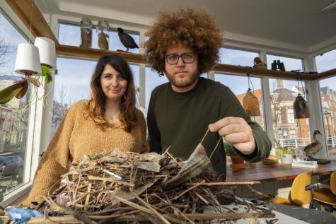 bird nest covid