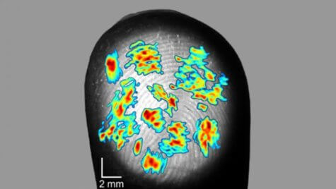 fingerprint map