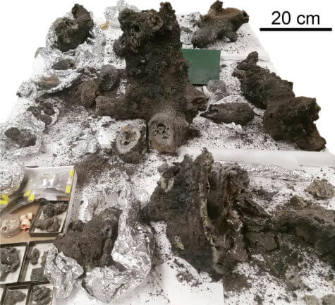 Lightning began Earth study