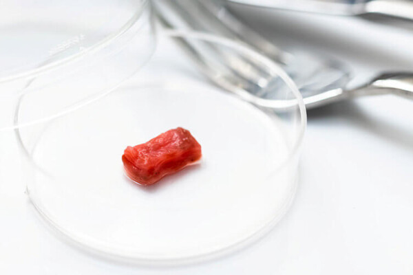 Lab grown meat