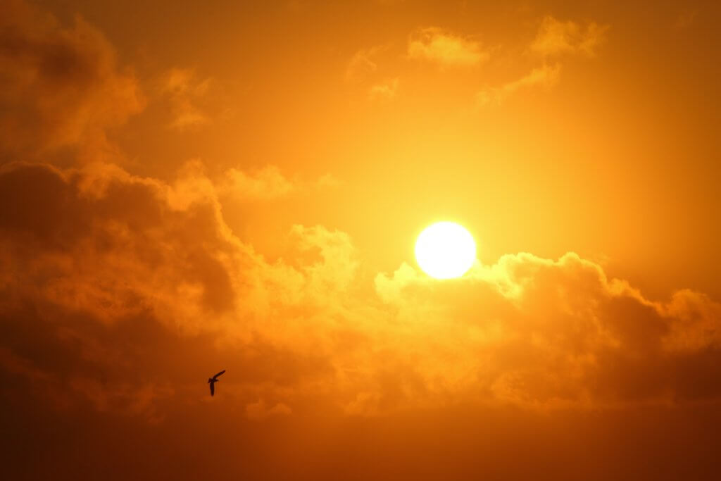 summer sun
