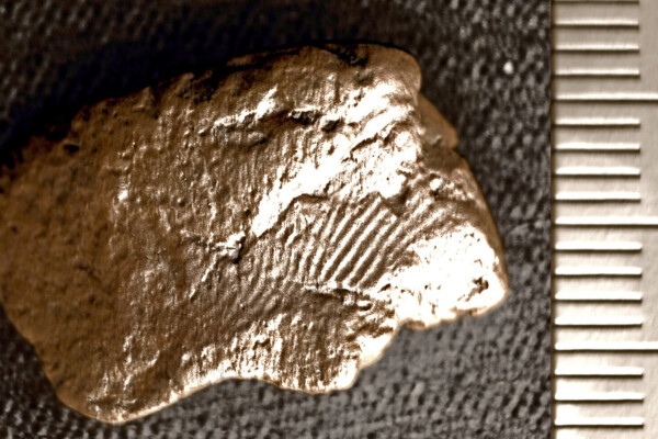 Ancient fingerprint