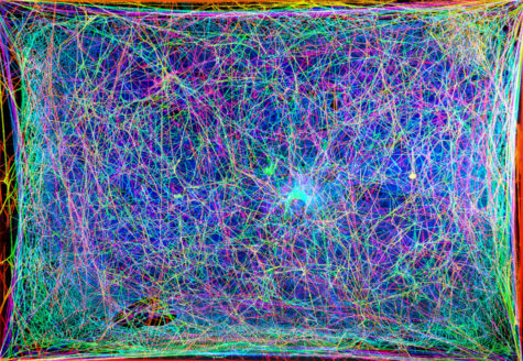 Spider web of music