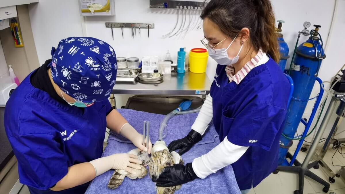 women veterinarians