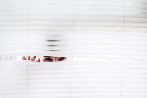window blinds