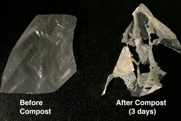 Single-use plastic that "eats itself"
