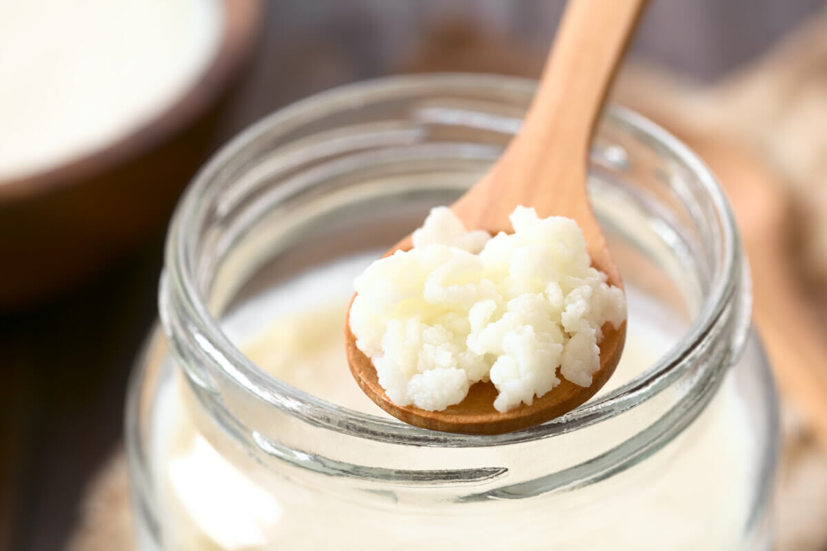 Milk Kefir Grains