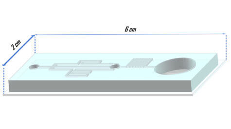 Freezing embryos study