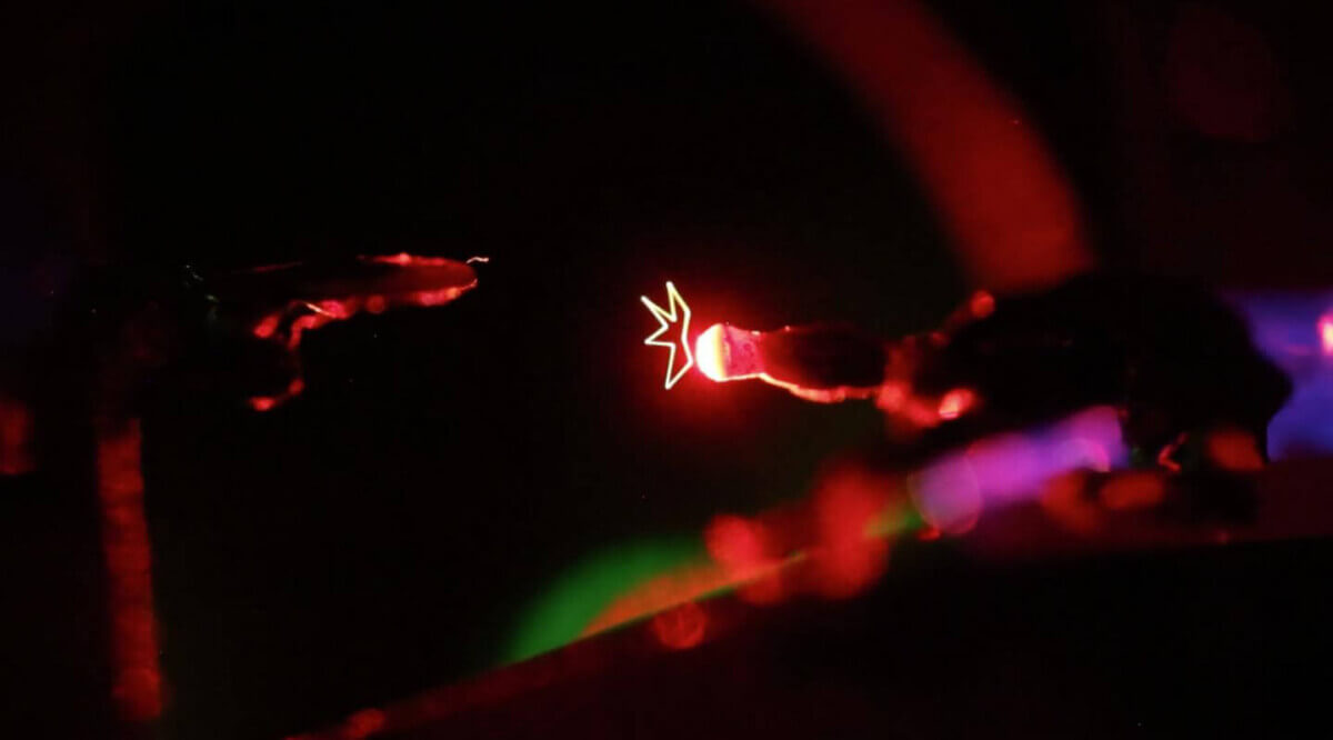 laser star trek holograms