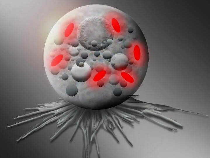 pokemon bacteria