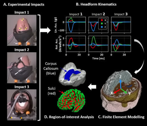 Helmet concussion study