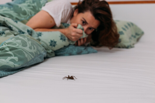 Woman scared of spider in her bed