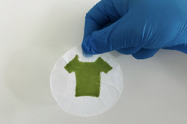 Clothing made from seaweed
