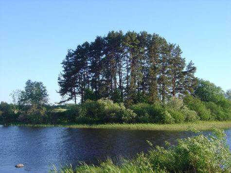 Salaca River